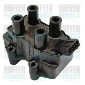 Acquista Bobina d'accensione da HOFFER 8010384 a buon mercato per soli 36,85 €