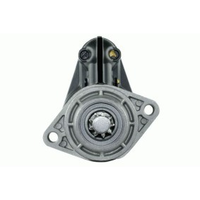 Anlasser 8013880