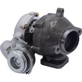 Kjøp Turbolader av MAGNETI MARELLI 807101001900 til den lave prisen 5497,87 NOK