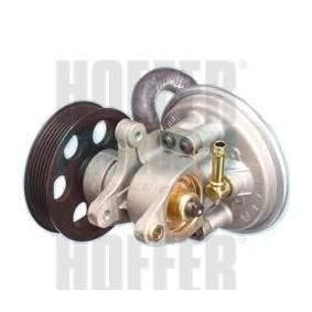Unterdruckpumpe, Bremsanlage 8091081 von HOFFER günstig für 222,76 € online kaufen