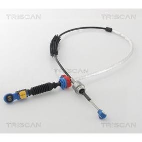 Acquista Cavo cambio da TRISCAN online per 407 SW Van / Station Wagon (6E_) a prezzi moderati
