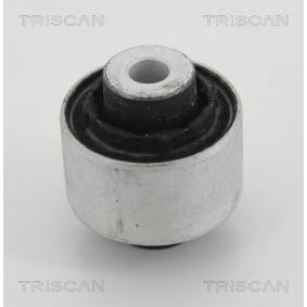 Lagerung, Lenker von TRISCAN