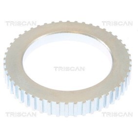 Servopumpe von TRISCAN