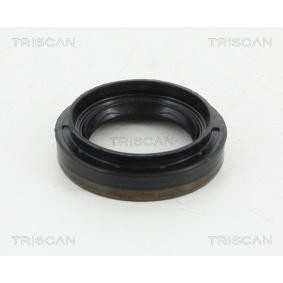 Wellendichtring, Differential 8550 10035