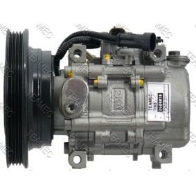 Klimakompressor 8600010