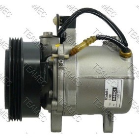 Klimakompressor 8600024