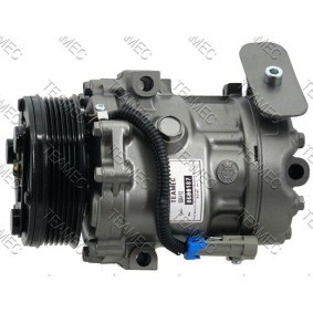 Klimakompressor 8600187 für Astra G CC (T98) für 169,60 CHF