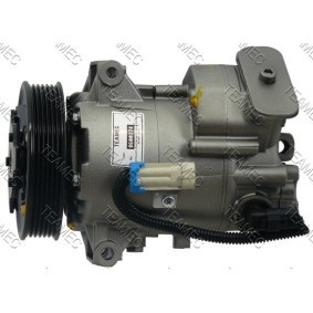 Klimakompressor 8600274