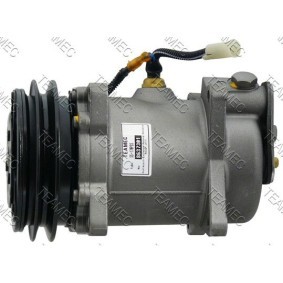 Acquista Compressore aria condizionata da TEAMEC 8637301 a buon mercato per soli 281,32 €