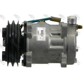 Acquista Compressore aria condizionata da TEAMEC 8642591 a buon mercato per soli 193,52 €