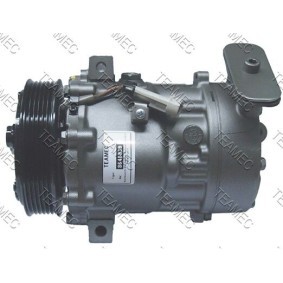 Acquista Compressore aria condizionata da TEAMEC 8646030 a buon mercato per soli 241,92 €
