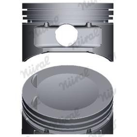Achetez des Piston NÜRAL 87-438507-00 à prix pour 71,48 €