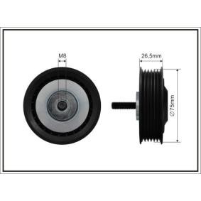 Acquista Rullo tenditore cinghia Poly-V da CAFFARO 87-99 a buon mercato per soli 25,89 €