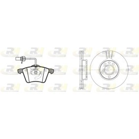 Bremsscheiben und -beläge für FORD von ROADHOUSE