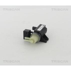 AGR-Ventil 8813 23206