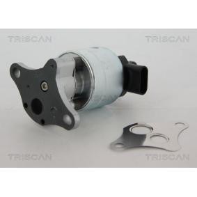 AGR-Ventil 8813 24063 für VAUXHALL