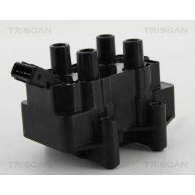 Acquista Bobina d'accensione da TRISCAN 8860 28025 a buon mercato per soli 77,76 €