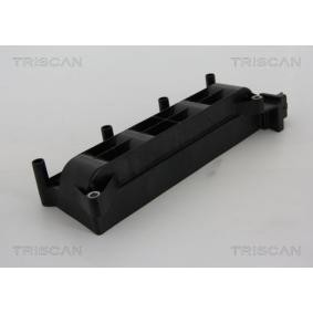 Acquista Bobina d'accensione da TRISCAN 8860 28026 a buon mercato per soli 388,67 €