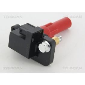 Zündspule für SUBARU von TRISCAN