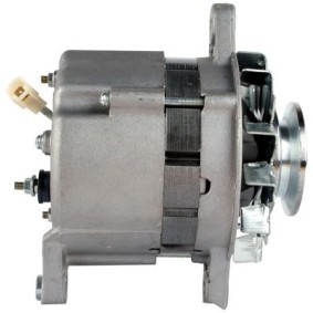 Lichtmaschine 89213341 von PowerMax günstig für 151,63 € online kaufen