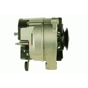 Lichtmaschine von ROTOVIS Automotive Electrics