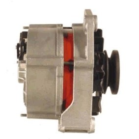 Lichtmaschine von ROTOVIS Automotive Electrics