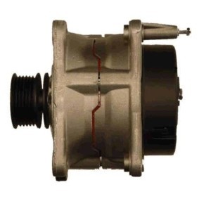 Lichtmaschine von ROTOVIS Automotive Electrics