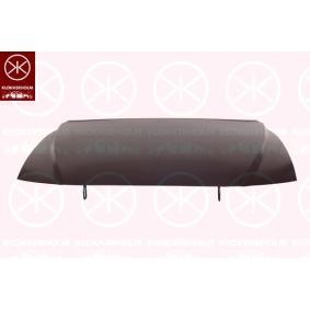 Motorhaube 9047280