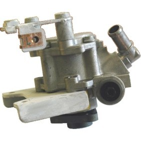 Servopumpe 93002