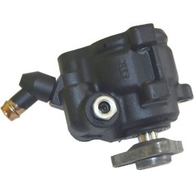 Servopumpe 93013