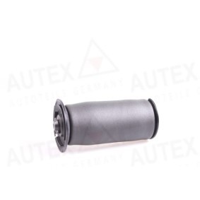 Acquista Molla pneumatica da AUTEX 933057 a buon mercato per soli 119,06 €