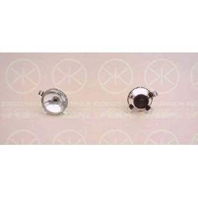 Comprar Faro de carretera de KLOKKERHOLM 95210273 a bajo precio de 14,16 €