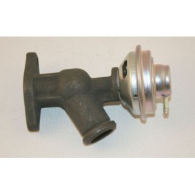 AGR-Ventil für FIAT von AUTEX