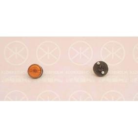 Blinker 96000550