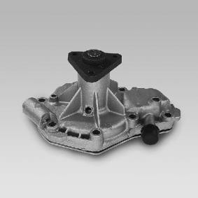 Wasserpumpe von GK