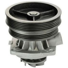 Achetez des Pompe à eau DENCKERMANN A310175P à prix pour 42,10 €