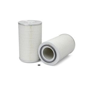 Luftfilter von FLEETGUARD AF25065