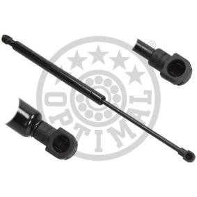 Heckklappendämpfer AG-40204