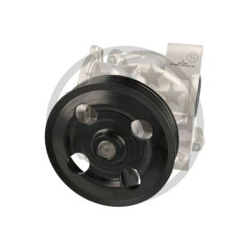 Wasserpumpe AQ-2450