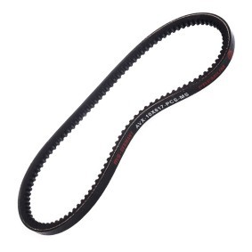 Comprar Correa trapezoidal de MASTER-SPORT AVX-10X617-PCS-MS a bajo precio de 3,35 €