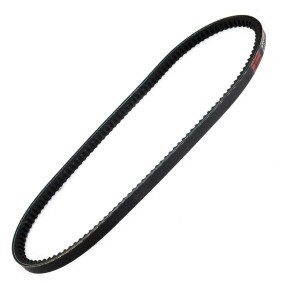 Keilriemen AVX-13X815-PCS-MS