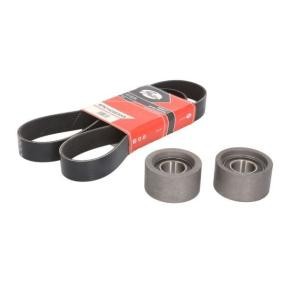 Achetez des Jeu de courroies trapézoïdales à nervures BTA B10-01-005 à prix pour 82,72 €