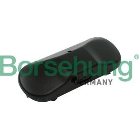 Waschwasserdüse, Scheibenreinigung von Borsehung