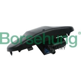 Waschwasserdüse, Scheibenreinigung von Borsehung