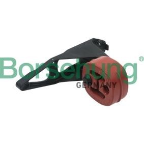 Halter, Abgasanlage von Borsehung