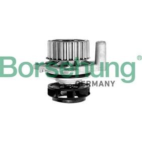 Køb Vandpumpe af Borsehung B12688 til den lave pris 443,94 DKK