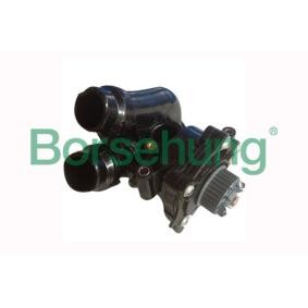 Achetez des Pompe à eau Borsehung B12691 à prix pour 215,27 €