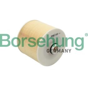 Køb Luftfilter af Borsehung B12807 til den lave pris 178,30 DKK