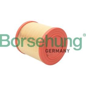 Køb Luftfilter af Borsehung B12813 til den lave pris 168,15 DKK