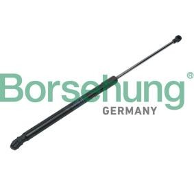 VOLKSWAGEN Heckklappendämpfer von Borsehung